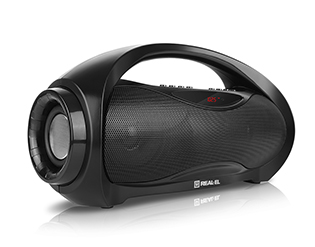 Portable acoustic REAL-EL X-713