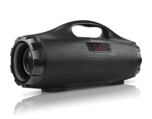 Portable acoustic  REAL-EL X-731