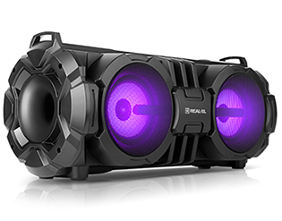 Portable acoustic  REAL-EL X-737